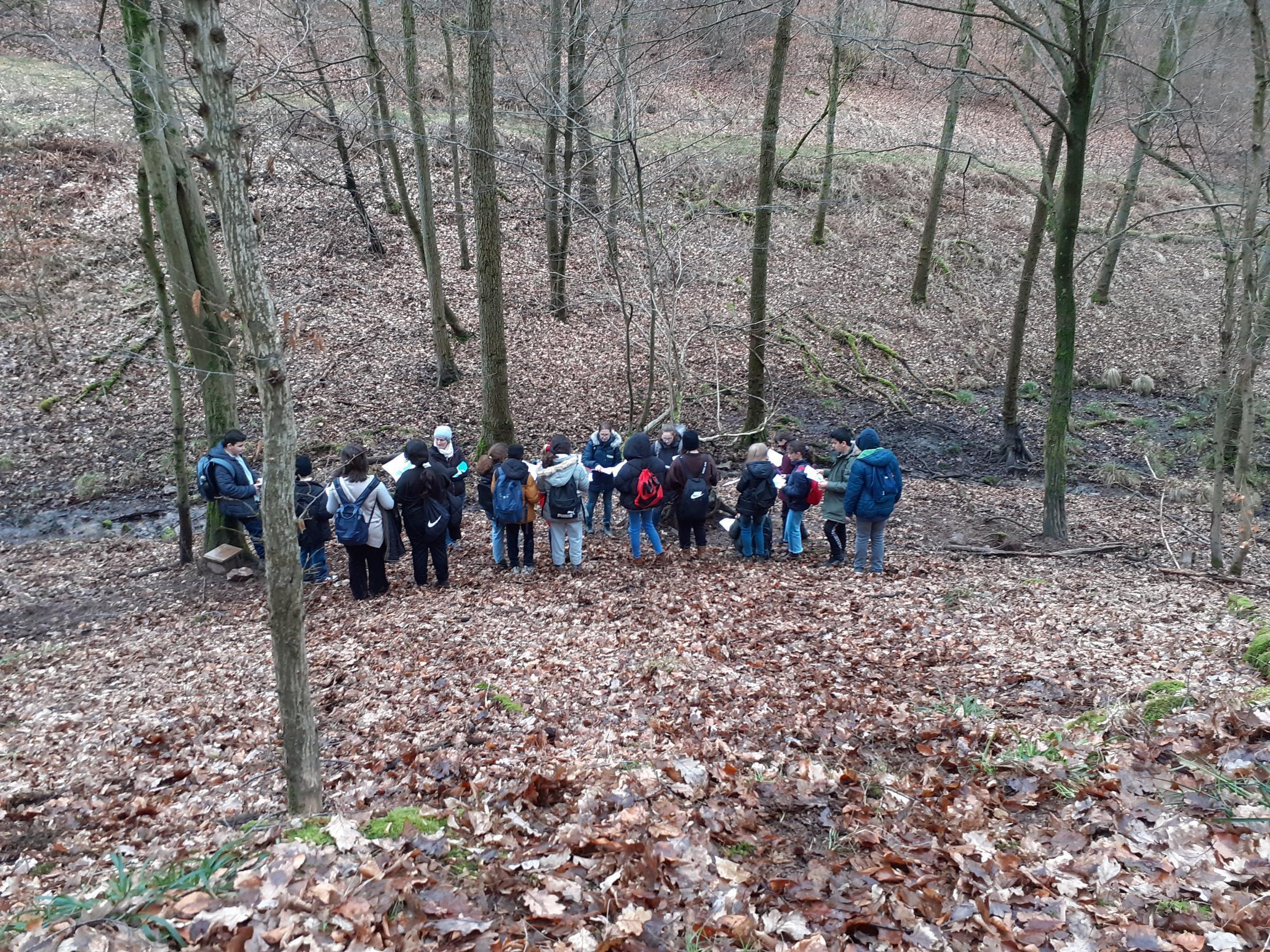Was Ist Eine Exkursion Eine Exkursion in den Wald - Karl-von-Drais-Schulen
